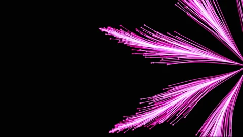 Particle flowers 3d abstract animation Stock Footage 188160661