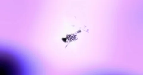 Particle fluid spread like synapse Stock Footage 84871025