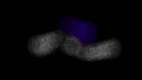Particle loop effect Stock After Effects