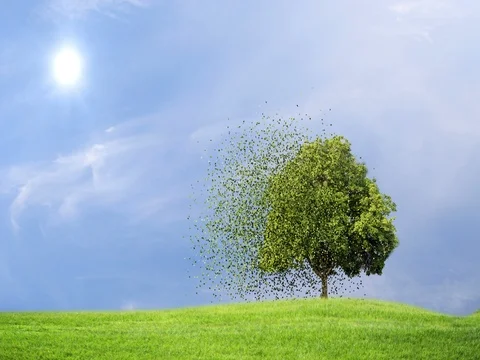 The particle merges into a tree shape on hill in wind breeze. Stock Footage 80460787