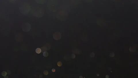 Particle moving,particle movement. Stock Footage 171694869