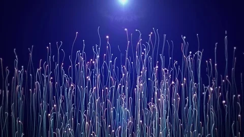 Particle plants growing. Stock Footage 77094562