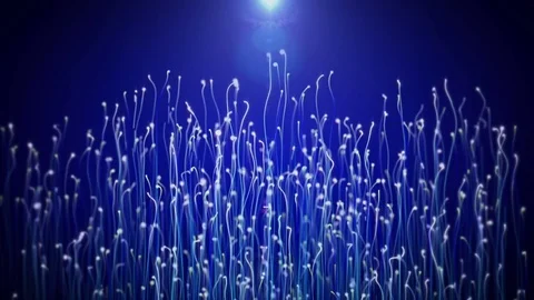 Particle plants growing. Stock Footage 77094606