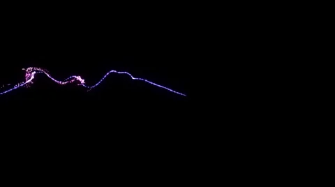 Particle swim Stock Footage 50759867