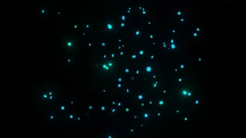 Particle Vortex Blue background effect Stock Footage 136344112