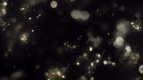 Particles 003 Stock Footage 33333939