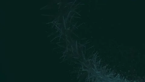 Particles 15 Stock Footage 226914251