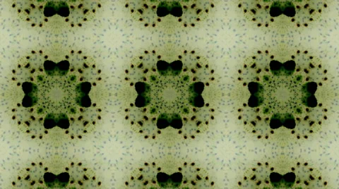 Particles of abstract fractal forms on the subject of nuclear physics science. Stock Footage 61827818