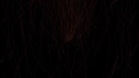 Particles abstract light motion titles background animation.Particles in tu.. Video stock 265396005