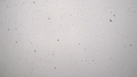 Particles of ash fall from the sky Stock Footage 128792535