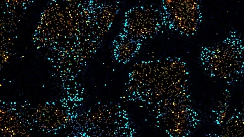 Particles Background. Dynamic Particles Loop Background 스톡 동영상 100271086