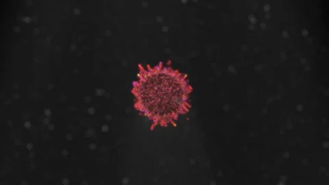 Particles Birth Stock Footage 340519201
