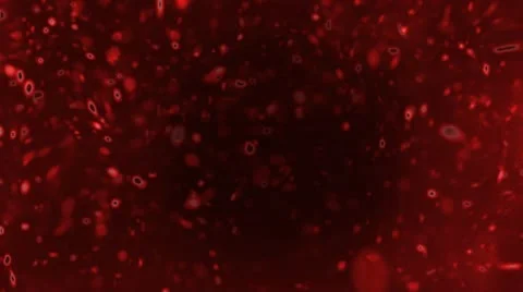 Particles like blood. Molecules. Loop. Stock Footage 10683210