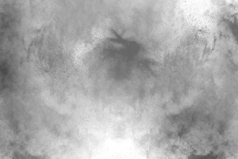 The particles of charcoal splatted on white background. Foto stock