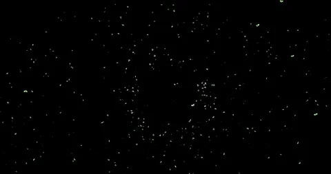 Particles circular pattern of glowing stars for logo intro 4k video acid colors Video stock 241940386