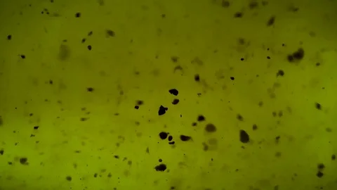 Particles dirt pollution background Stock Footage 98676678