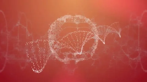 Particles drifting inward initiating brain wireframe and data arcs expanding for Stock Footage 328084063