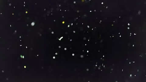 Particles. Dust. Stock Footage 10683437