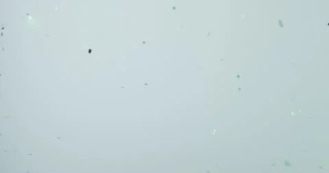 Particles dust snow 4K Video stock 21845067