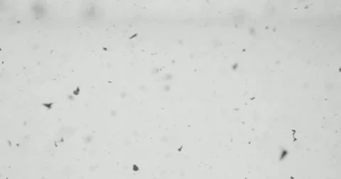 Particles dust snow 4K Video stock 21845123