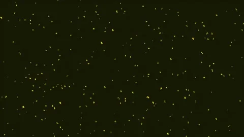 Particles Floating on Black Background, Dust and Glitter Overlay 스톡 동영상 342361102