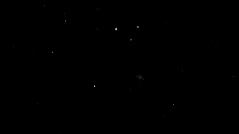 Particles flying on a black background. Colored particles flying erratically Stock Footage 71108406