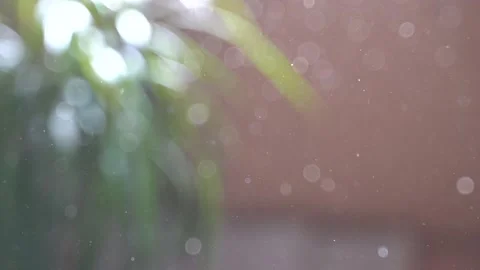 Particles flying in front of plant, oddly satisfying background Stock Footage 139451036