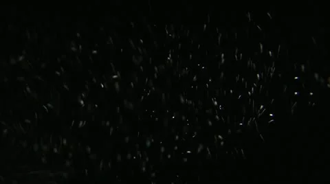 PARTICLES 動画素材 17901635