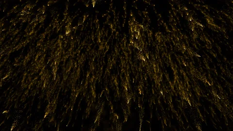 Particles gold event awards trailer titles cinematic concert background loop Stock Footage 201059795
