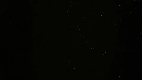 Particles green dust effect dark Vídeos de archivo 92975148