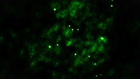 Particles, illuminated green circles, distant stars, space, green nebula Stock Footage 153787664