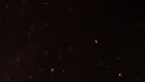 Particles with light leak Video stock 83401219