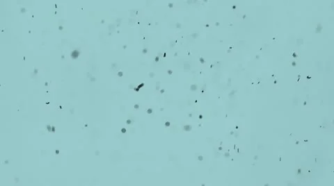 Particles. Molecules in the liquid aquamarine. Stock Footage 10683465
