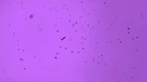 Particles. Molecules like a solution of potassium permanganate. Stock Footage 10683301