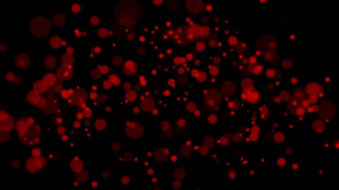 Particles move organically  - abstract animation Design Stock Footage 161912800