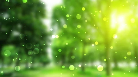 Particles on nature background with flowing dots Stock Footage 241649474