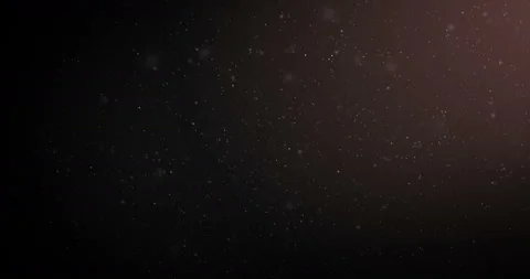Particles of organic dust on a dark background. Video stock 99205961