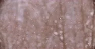 The Particles Of Snow, Snowflakes Falling In Slow Motion, Abstract Natural Stock Footage