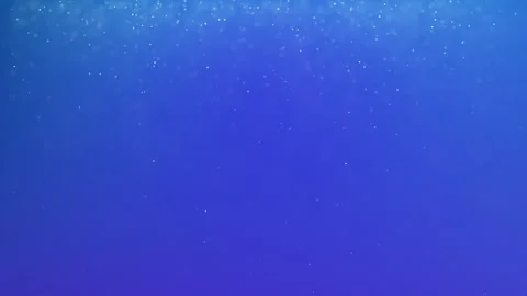 Particles Like Snowflakes Stock Footage 259882918