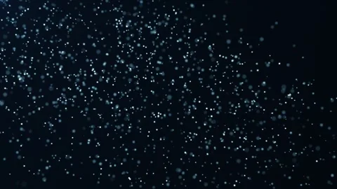 Particles of snowflakes. Winter snow - falling snow animation. Stock Footage 318722104