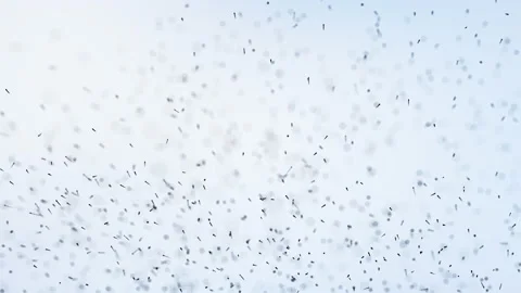 Particles in space Stock Footage 151825859