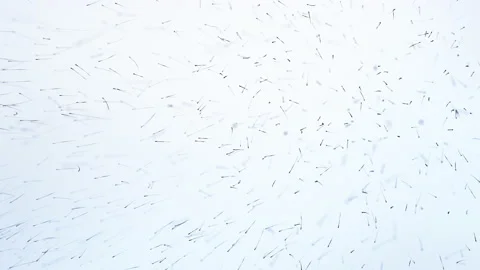 Particles in space 스톡 동영상 151888876