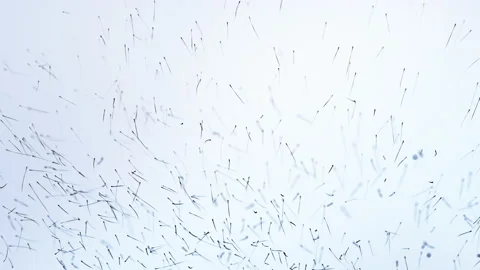 Particles in space Stock Footage 151962877