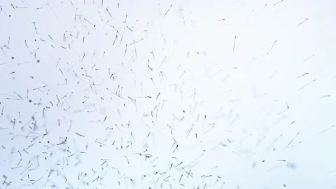 Particles in space Stock Footage 151963271