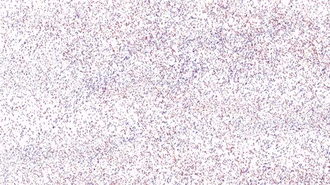 Particles video. Stock Footage 328277053