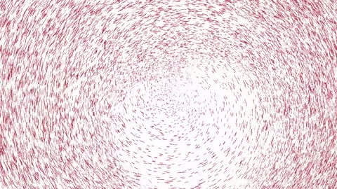 Particles video. Stock Footage 328277057