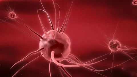 The particles of the virus mutating 스톡 동영상 63505403