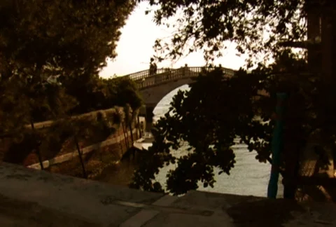 PARTICLES/venice/MDVI 03 Видео 64118