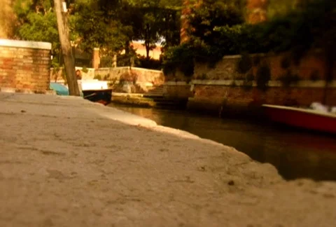 PARTICLES/venice/MDVI 07 Видео 64123