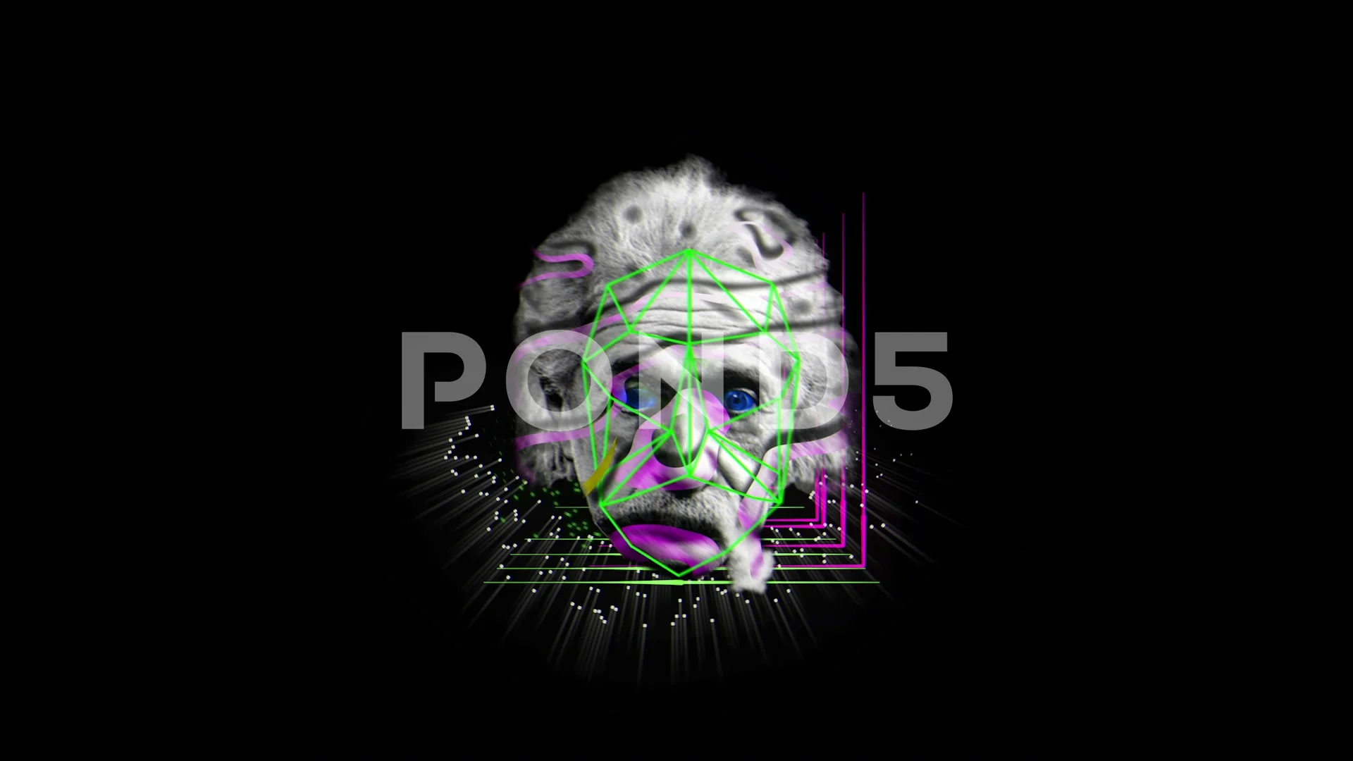 Einstein Stock Footage Royalty Free Einstein Stock Videos Pond5 Images, Photos, Reviews